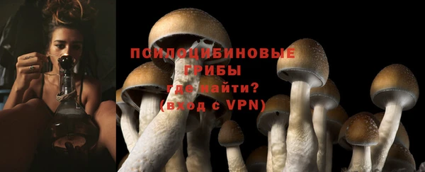винт Заводоуковск