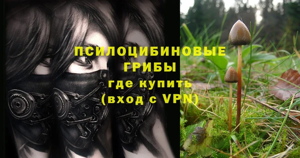 тгк Заволжск