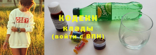 гашик Дмитриев