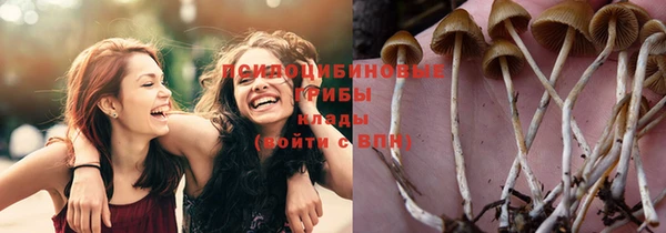тгк Заволжск