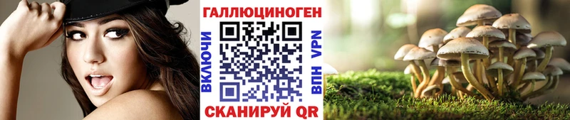 Галлюциногенные грибы GOLDEN TEACHER  купить   Циолковский 